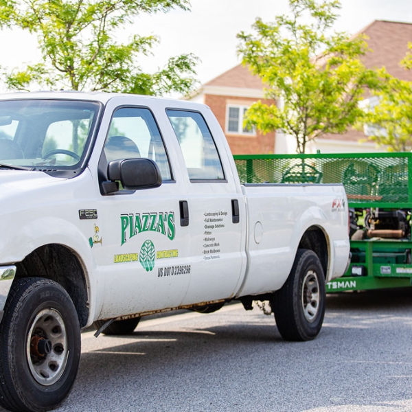 Piazza Landscaping project 1