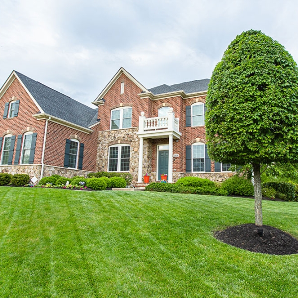 Piazza Landscaping project 2