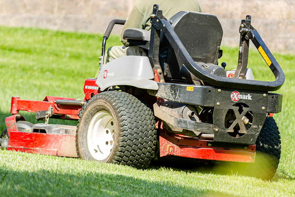 Lawn Care & Maintenance