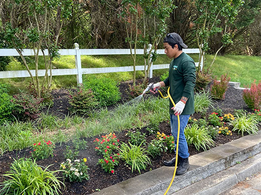 Beautifully maintained commercial landscaping